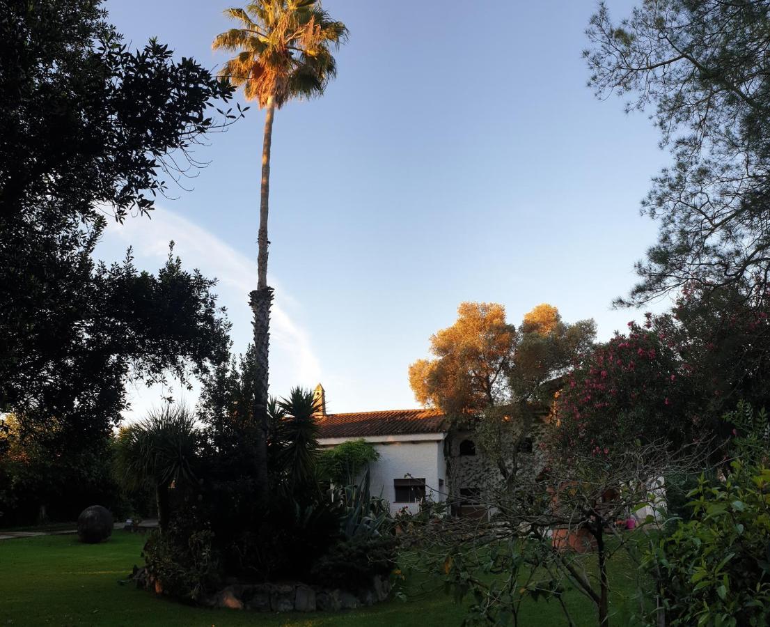 La Casa Del Torreon Bed & Breakfast Алхараке Екстериор снимка