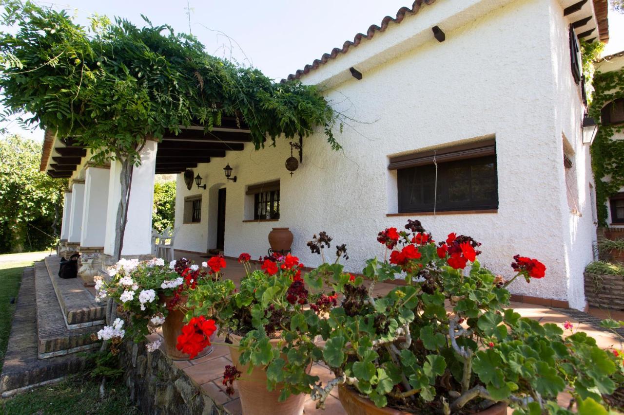 La Casa Del Torreon Bed & Breakfast Алхараке Екстериор снимка