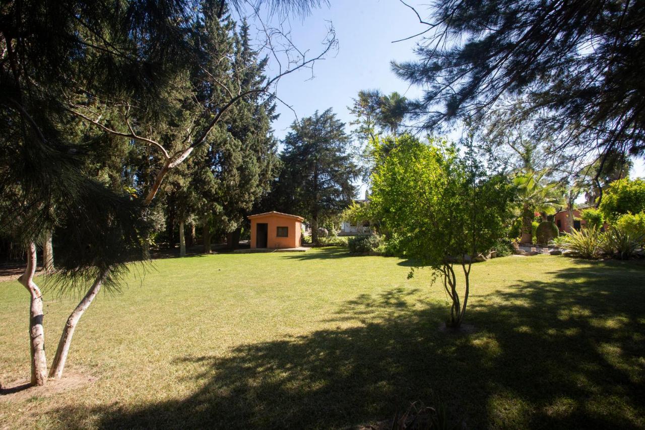 La Casa Del Torreon Bed & Breakfast Алхараке Екстериор снимка